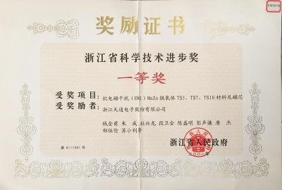 浙江省科學技術(shù)進步獎一等獎-抗電磁干擾猛鋅TS系列